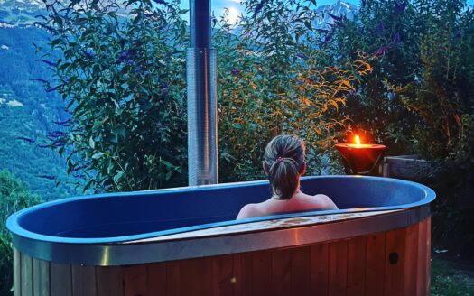 CHAMBRE D’HÔTES avec Bain Nordique face au domaine des Arcs en Vallée de Tarentaise – Ref LA180